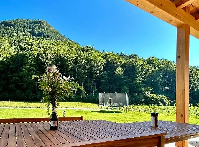 Vakantiehuis Gruenhaus - Dein In Grünau im Almtal