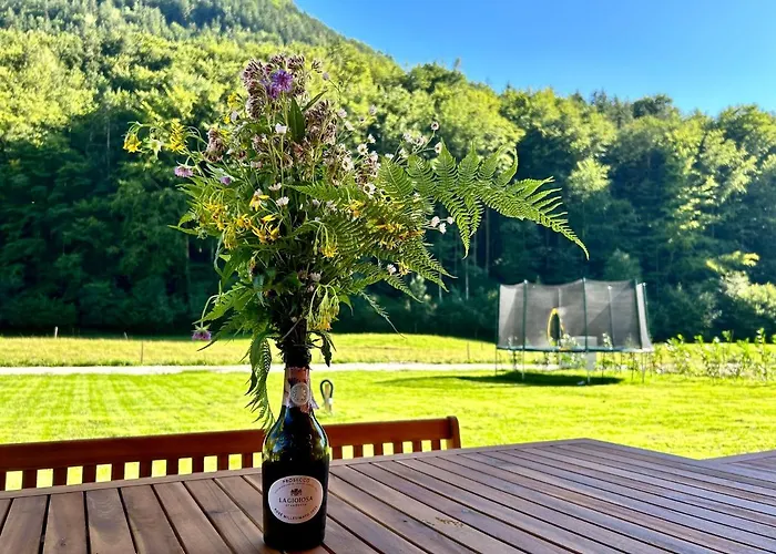 Gruenhaus - Dein In * Grünau im Almtal